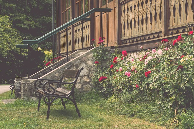 精彩开局的 精彩开局的