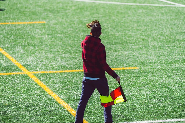 哈姆的蜕变 哈姆的蜕变