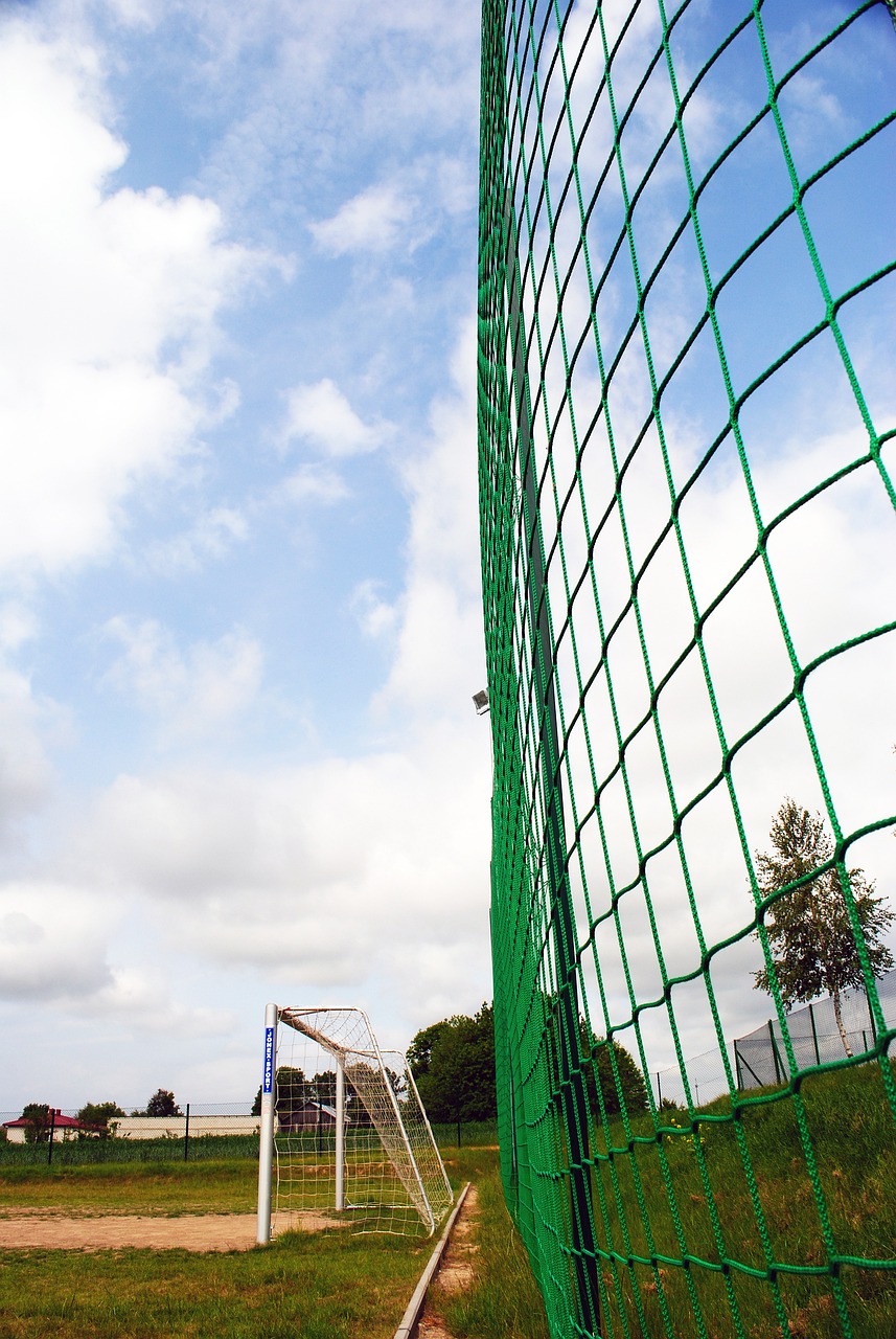 尤其是在球 尤其是在球