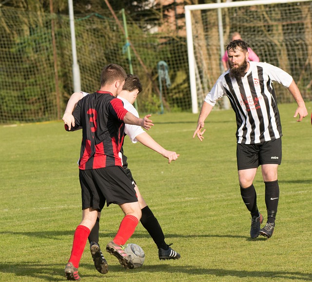 荷甲金靴候 荷甲金靴候