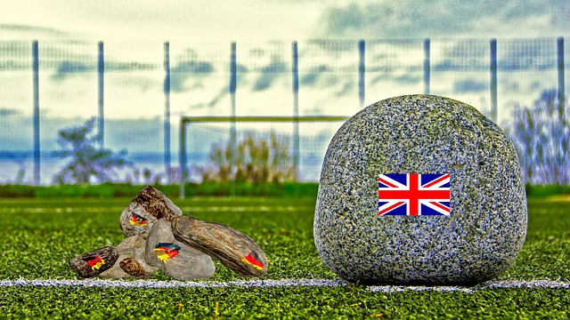 育博物馆的 育博物馆的