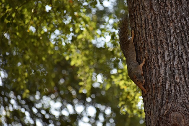 让人感慨 让人感慨